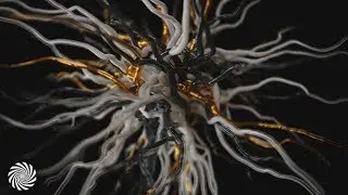 Vertical - Celeste  [Psychedelic Visuals]