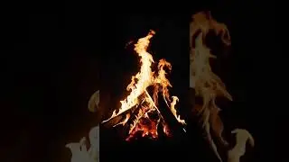 Cozy Burning Wood Fireplace: Deep Sleep on a Cold Night