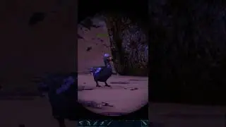 dodos are so hard to keep alive... #arksurvivalevolved #gaming #pcgaming