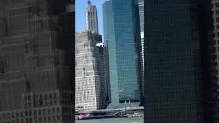 Sky Dancers in the Shadow of Manhattan #NatureLovers #Birds #BrooklynBridgeViews #CityAndNature