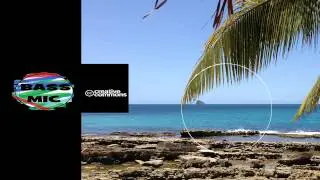 NURI - Wild Life (Original Mix - House)