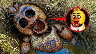 What Happened to Chica at 3AM...