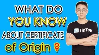 All About Certificate of Origin | 6 FAQs