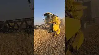 Made in Pakistan latest wheat harvestor 2025 #punjab #pakistan