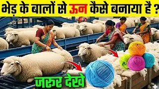 भेड़ के बालों से ऊन कैसे बनता है ? | Wool Kaise Banta Hai | Yarn Kaise Banta Hai