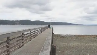 When You Go Camping At Twanoh State Park