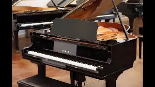 Pre-Owned Yamaha DGC1 Disklavier | Upgraded to Enspire | PianoWorks