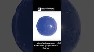 Kong squeeze ball