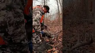 MASSIVE INDIANA WHITETAIL DOWN #hunting #indiana