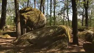 Blockheide bei Gm&uuml;nd. 2 Klavierst&uuml;cke von Thomas ROPPERT