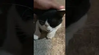 Molly lagi