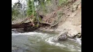 Bowen park nanaimo