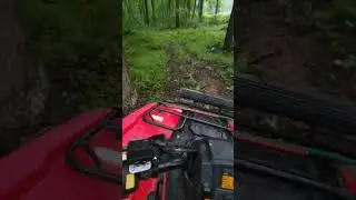 Kitten wants the Donut 😑 #wow #automobile #atv #4x4 #offroad #atvoffroad #Honda #hondarancher #mud