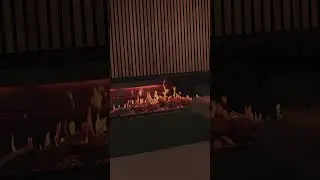 Solution TruFlame 150: Your New Electric Media Wall Fire?