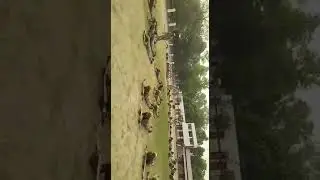 PAC training video/ Uttar Pradesh police/ #pac #army #uppolice #shorts #viral