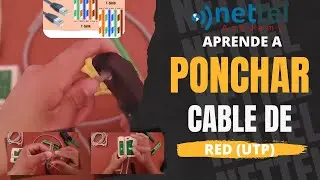 How to Crimp a UTP Cable Step by Step | RJ45 Connectors (Quick and Easy) + Test with a Tester