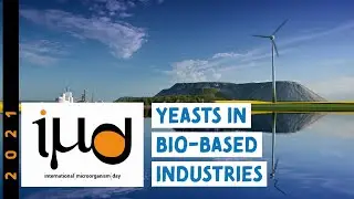 Yeasts in Bio-based Industries
