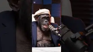 Chimp Host Goes Crazy After Watching This Clip!&rdquo;