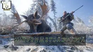 Ammutaan vain hirvi&auml;! - Hirvenmets&auml;styst&auml;! - COTW