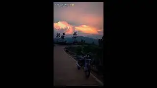 #king #storyrxking #rxking135cc #2stroketuesday #rxking #automobile #youtubeshorts #2tak #fypシ #reel