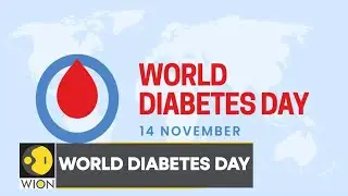 World Diabetes Day: Diabetes becoming the biggest epidemic? | Latest World News | WION