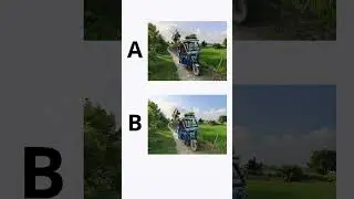 OnePlus Nord 5 vs Nord CE 5 Camera Test 🔥📸