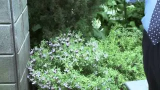 Science and Health | Science & U!