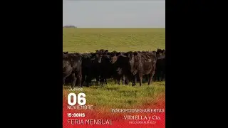 06/11/2025   Feria mensual - Vidiella y Cia /  Local 33 en la calera - Treinta y Tres