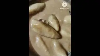 তিন রকম পিঠে দেখালাম ভেতরে পুর না দিয়ে আরো দু রকম দেখালাম।