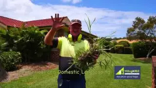 Commercial Grounds Maintenance
