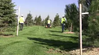 Foothills Landscape Maintenance