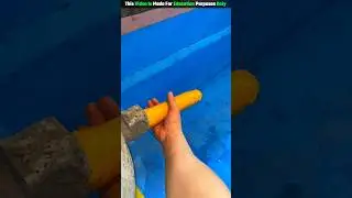 The Dog Potty 😨| New Viral Gadgets,Smart Appliances, Kitchen Utensils/ Home Inventions