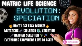 Life Science | Matric Exam Revision | Evolution - Speciation (Grade 12 CAPS)