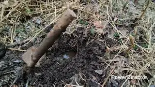 Kopanie w bagnie🤣