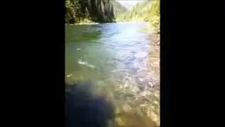 Kelly Creek - June 21 2014