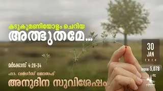 Just a Mustard-Seed Miracle&hellip; 🌱 | Friday, Jan 30, 2026 | Daily Gospel Reflection Malayalam