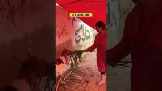 Goat & Mommy😂#bakraeid #funnyshorts #creator #travel #eidmubarak #eid #eidshort #husbandwifecomedy