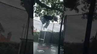 #flips