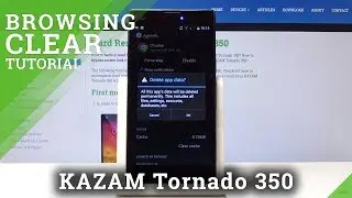 How to Clear Browsing Data in KAZAM Tornado 350 - Reset Browsing History