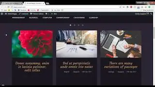 Wordpress themes  demo content Install