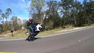Dank Whoolies