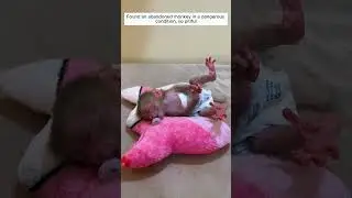 Rescued poor baby monkey, so pitiful #monkey #shortsvideo #animalshorts #animalrescue