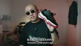 Air Jordan 11 Low Bred 2025