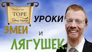 Уроки змеи и лягушек. Глава Ваэйра 