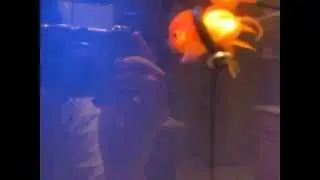 Life vest for goldfish with swim bladder disease