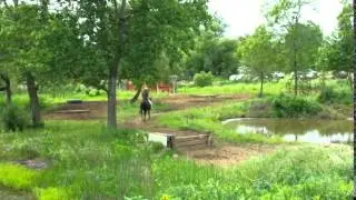 Miranda Lyon Colt Starting Competition Obstacle Course and Freestyle 2015