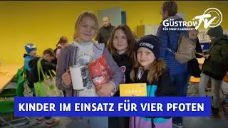 Kinder im Einsatz f&uuml;r Vier Pfoten, Spendendosen verteilt, Futterspenden f&uuml;r die Tierhilfe B&uuml;tzow