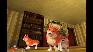 Corgi Dog Life Simulator 3D Gameplay Video Android/iOS