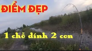 trời m&aacute;t c&aacute; t&aacute;p lung tung,lure c&aacute; l&oacute;c || C&acirc;u C&aacute; Sinh Tồn MT Fishing