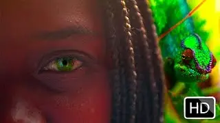Wopos à l'ile de la Réunion - Clip je t'aime tellement
